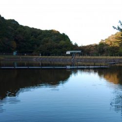 平日の岡崎トラウトポンド